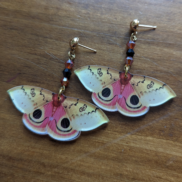 Madagascar Bullseye Moth Earrings